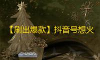 【刷出爆款】抖音号想火起来必须让这些事情拥有25个字母