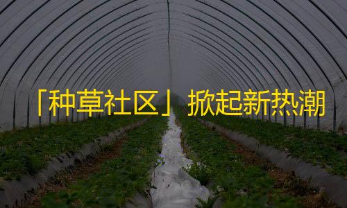 「种草社区」掀起新热潮：快速增粉衍生的新玩法！