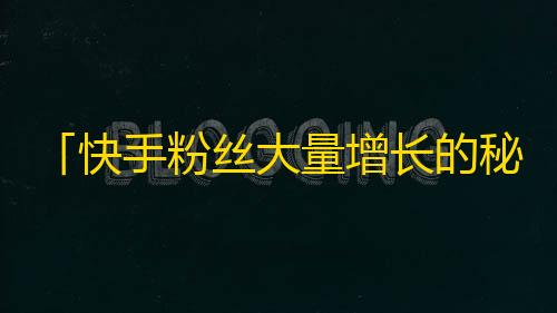 「快手粉丝大量增长的秘密」新媒体问答