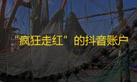 “疯狂走红”的抖音账户如何实现突破性增长？