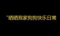 “晒晒我家狗狗快乐日常”引爆抖音，网友们纷纷点赞关注。