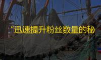 “迅速提升粉丝数量的秘诀——教你如何火爆抖音平台”