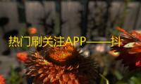 热门刷关注APP——抖音，赚足人气。