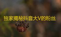 独家揭秘抖音大V的粉丝增长秘密