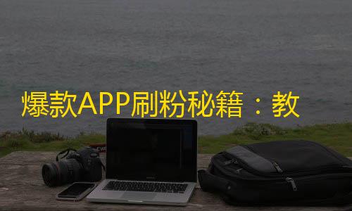 爆款APP刷粉秘籍：教你快速增加抖音粉丝数量