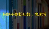 用快手刷粉丝数，快速增长你的关注者！