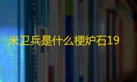 米卫兵是什么梗炉石1991