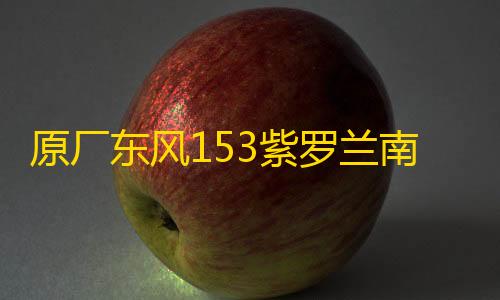 原厂东风153紫罗兰南骏1063小财神145大运嘉龙前大灯总成雾灯总成