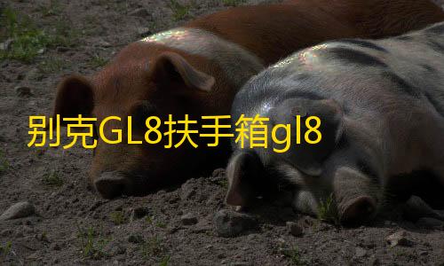 别克GL8扶手箱gl8ES 653T陆尊25s中央储物手扶箱专用内饰改装配件