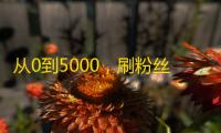 从0到5000，刷粉丝速记诀窍！