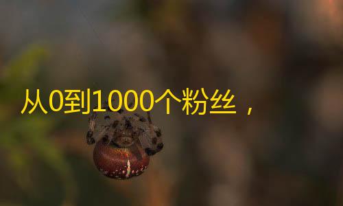 从0到1000个粉丝，只需要3个月？快手成长神器！