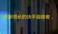 不断增长的快手追随者，让你的账户有所改变