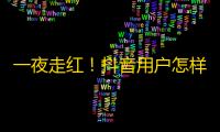 一夜走红！抖音用户怎样刷爆关注？