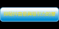 探秘抖音最具吸引力的潜力王-关注增长攻略！