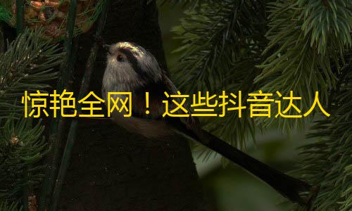 惊艳全网！这些抖音达人如何一夜扬名？