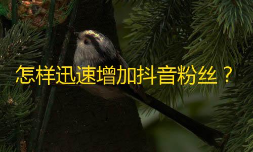 怎样迅速增加抖音粉丝？这个方法绝对有效！