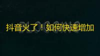 抖音火了！如何快速增加粉丝？传授7个技巧