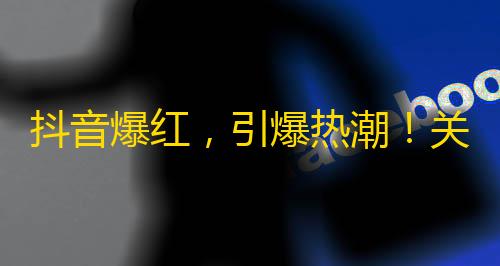 抖音爆红，引爆热潮！关注数破百万，跻身网红行列，如何成为顶级KOL？