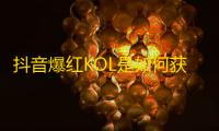 抖音爆红KOL是如何获得海量关注的？