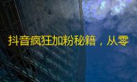 抖音疯狂加粉秘籍，从零到百万粉，教你一步步走向成功！