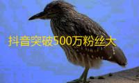 抖音突破500万粉丝大关，效果惊人