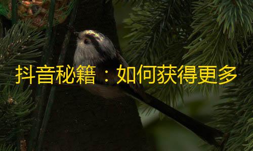 抖音秘籍：如何获得更多粉丝？