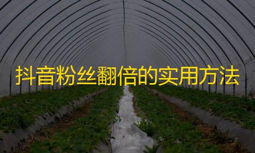 抖音粉丝翻倍的实用方法，让你秒变网红！