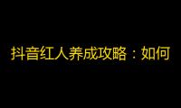 抖音红人养成攻略：如何快速增加关注？