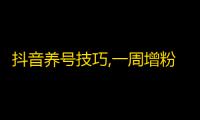 抖音养号技巧,一周增粉3000，简单易学！