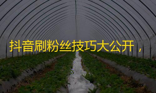 抖音刷粉丝技巧大公开，提升粉丝数量轻松易得！