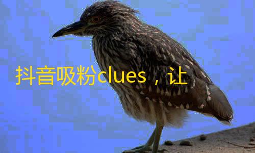 抖音吸粉clues，让你成为抖音达人