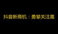 抖音新商机：勇攀关注高峰，开启赚钱新篇章！