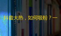 抖音大热，如何吸粉？一篇粉丝刷手艺术，教你在短时间内增加关注。