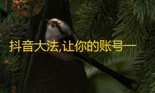 抖音大法,让你的账号一秒上涨万粉丝！