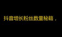 抖音增长粉丝数量秘籍，让你秒变人气网红