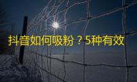 抖音如何吸粉？5种有效方法大揭秘！