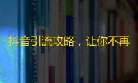 抖音引流攻略，让你不再苦于无人问津！