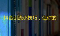 抖音引流小技巧，让你的视频火遍全网！