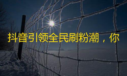 抖音引领全民刷粉潮，你也来试试！