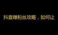 抖音赚粉丝攻略，如何让你的抖音账号迅速走红？