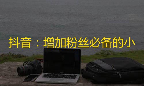 抖音：增加粉丝必备的小技巧！招招实用让你赚到万粉，成为网红！