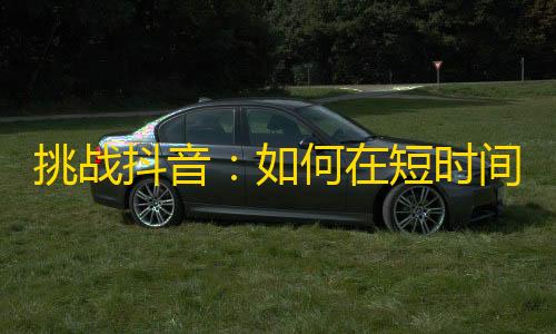 挑战抖音：如何在短时间内获取高质量关注？