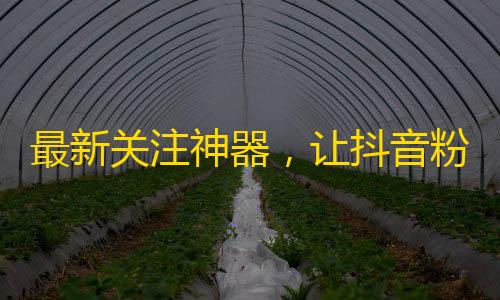 最新关注神器，让抖音粉丝秒增好几倍！