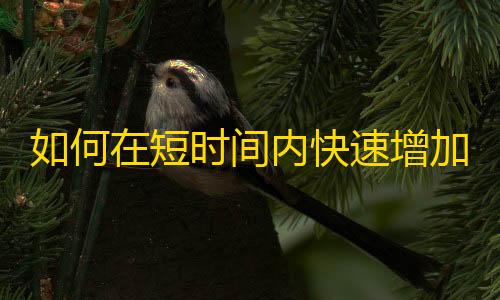 如何在短时间内快速增加抖音粉丝？学习这些技巧让你成为抖音大咖！