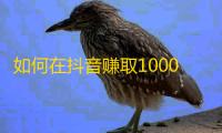 如何在抖音赚取10000个粉丝？