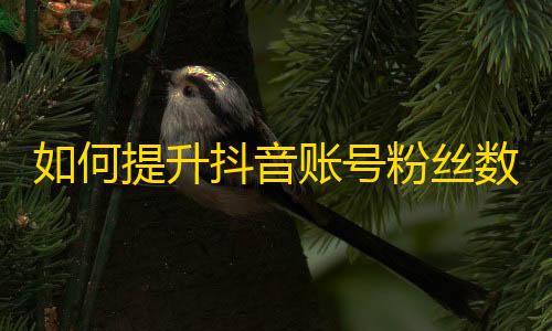 如何提升抖音账号粉丝数？