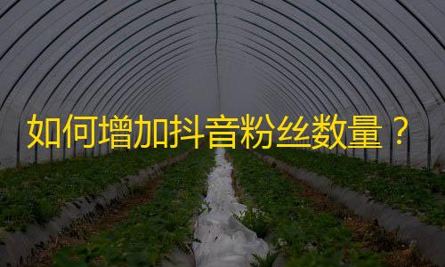 如何增加抖音粉丝数量？教你提升关注度的方法！