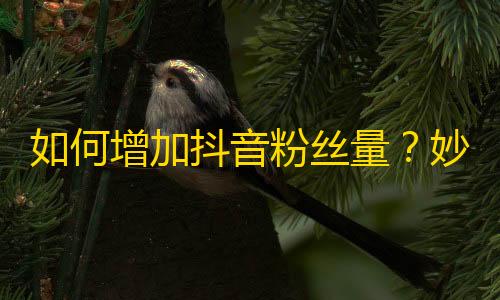 如何增加抖音粉丝量？妙招分享！