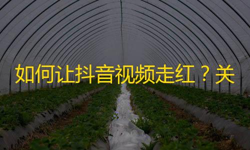 如何让抖音视频走红？关注数秒变破百！