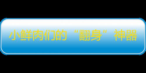 小鲜肉们的“翻身”神器，让你迅速走红网络！